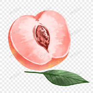 WWW,av254·COM网站APPAPP应用